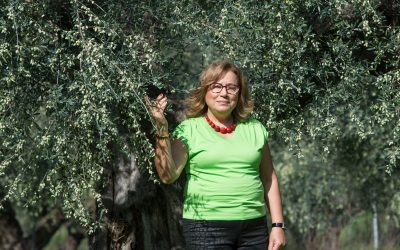 Huile d’olive EHTL : bientôt le troisième cru